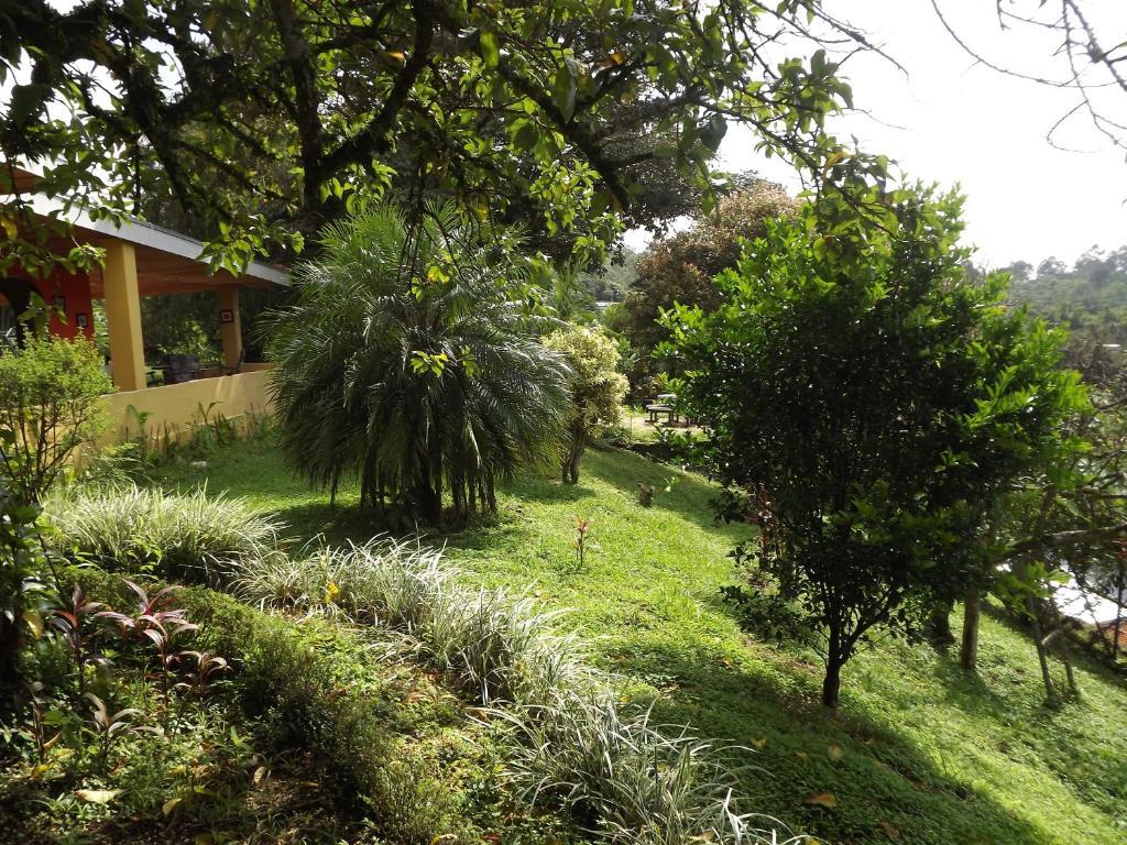 Aparthotel Villa Pacande & Rooms Pilas Cameră foto